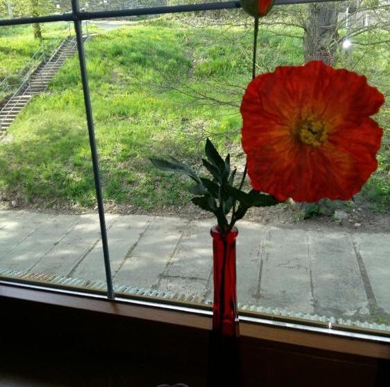 חדר סטנדרט, Pension U Stříbrného Jelena