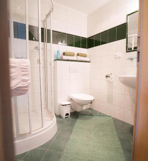 חדר סטנדרט לשלושה, Pension U Stříbrného Jelena