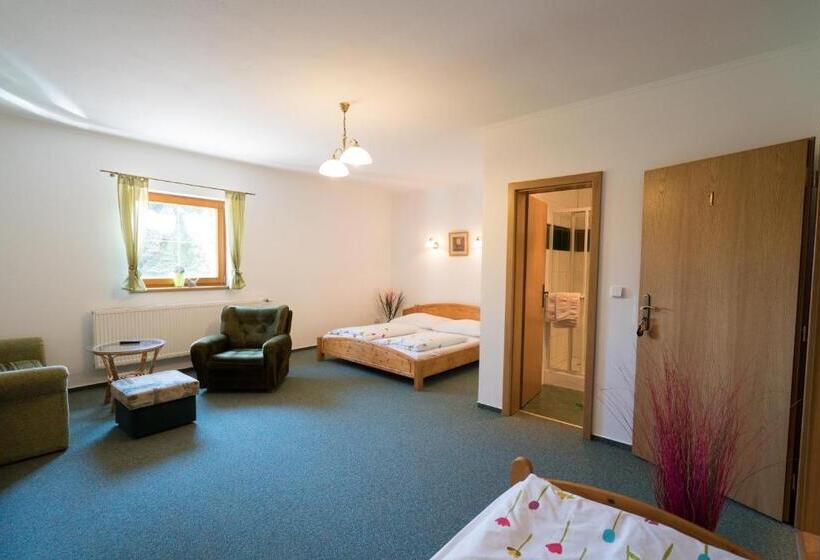 סוויטה עם מרפסת, Pension U Stříbrného Jelena