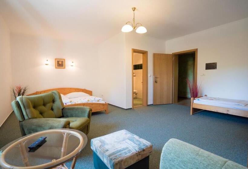 סוויטה עם מרפסת, Pension U Stříbrného Jelena