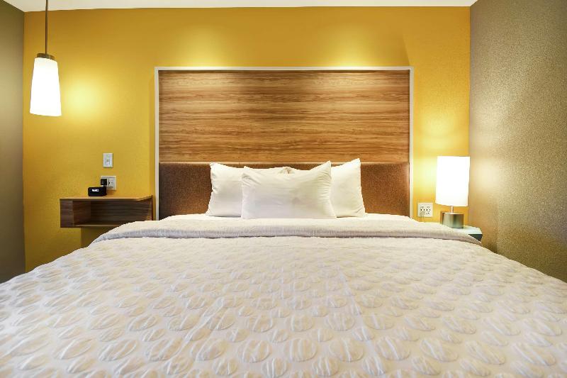 חדר סטנדרט עם מיטת קינג, Tru By Hilton Louisville Airport