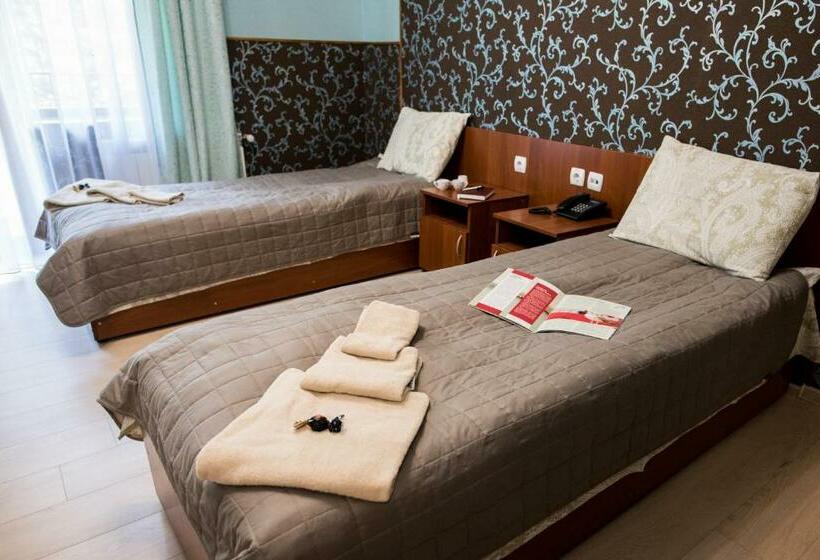 اتاق استاندارد, Zelenyy Bir