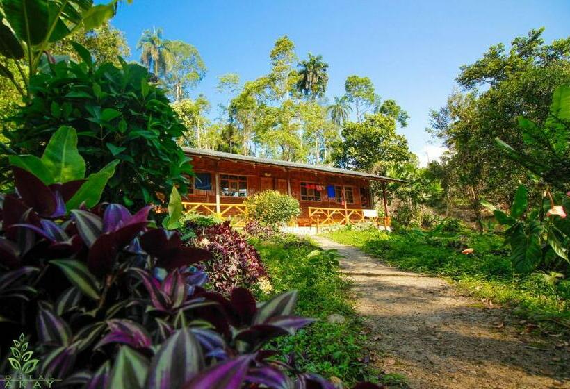 スタンダードルーム, Hostal Pakay