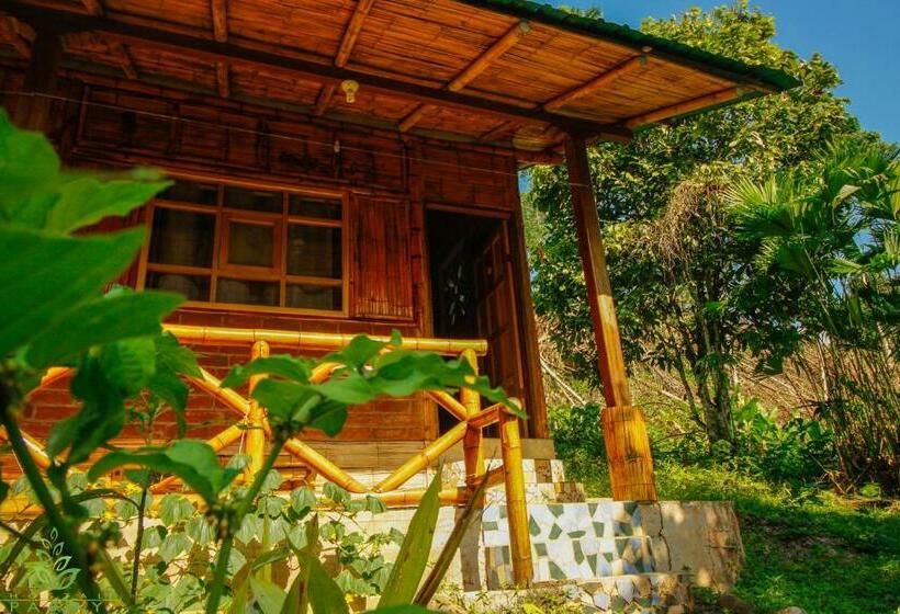 スタンダードルーム, Hostal Pakay