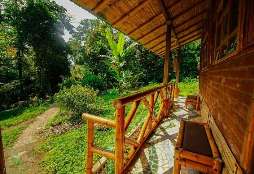 スタンダードルーム, Hostal Pakay