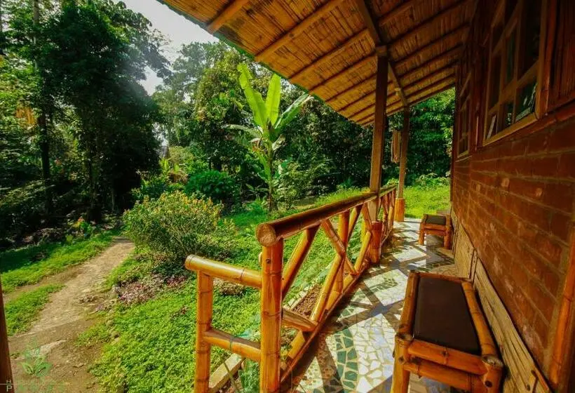اتاق استاندارد, Hostal Pakay