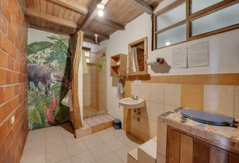 ルームシェアのワンベッド, Hostal Pakay