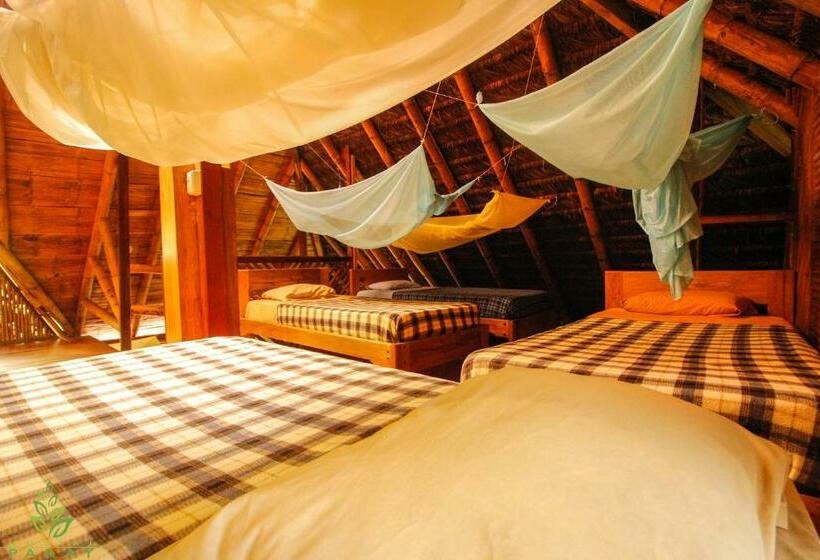 ルームシェアのワンベッド, Hostal Pakay