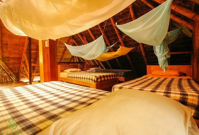 تختخواب در اتاق مشترک, Hostal Pakay
