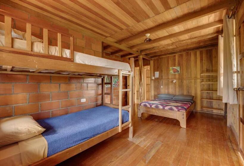 베이직 3인 룸, Hostal Pakay