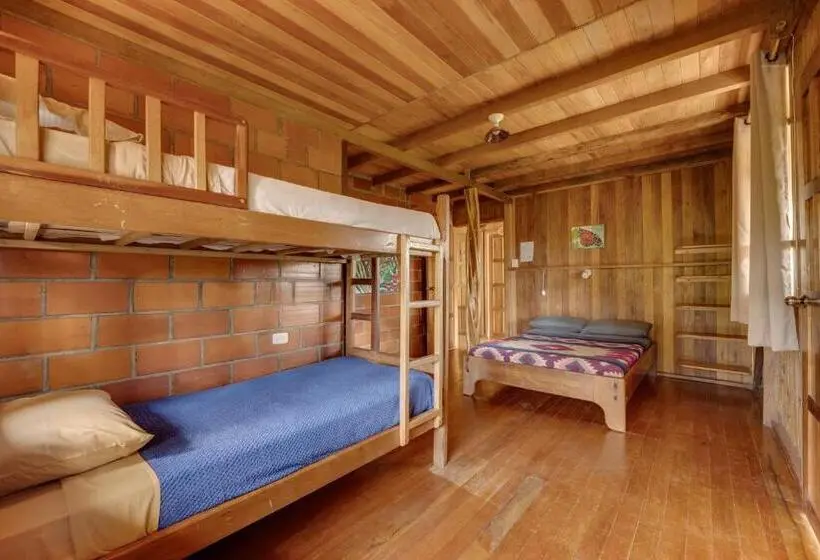 اتاق ساده سه‌ نفره, Hostal Pakay