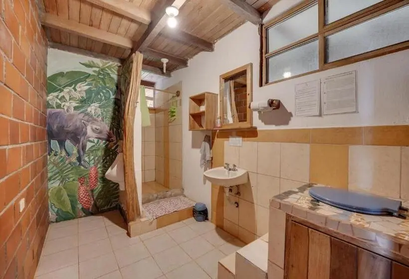 اتاق کلاسیک چهارنفره, Hostal Pakay