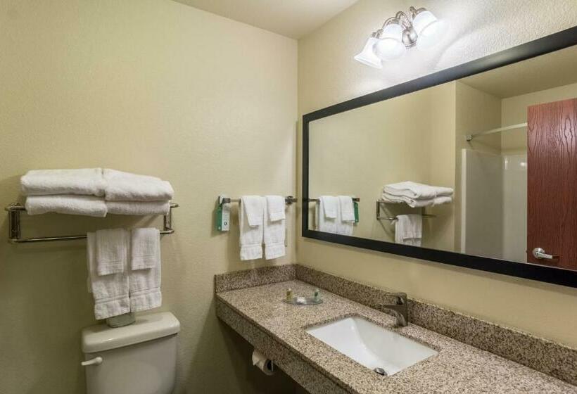 Family Suite, Cobblestone Hotel & Suites   Torrington