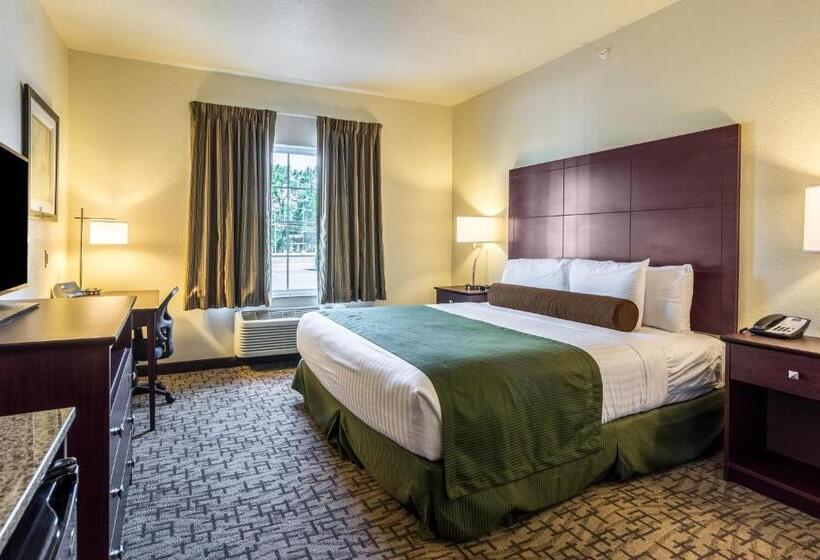 Студия Стандарт, Cobblestone Hotel & Suites   Torrington