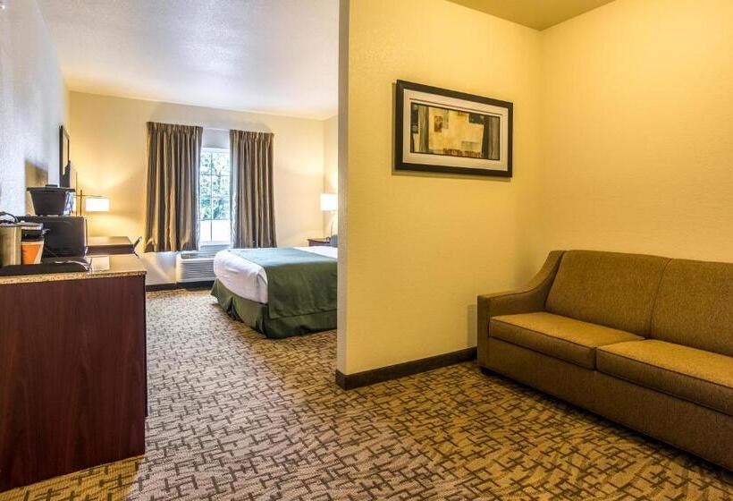 스탠다드 스튜디오, Cobblestone Hotel & Suites   Torrington