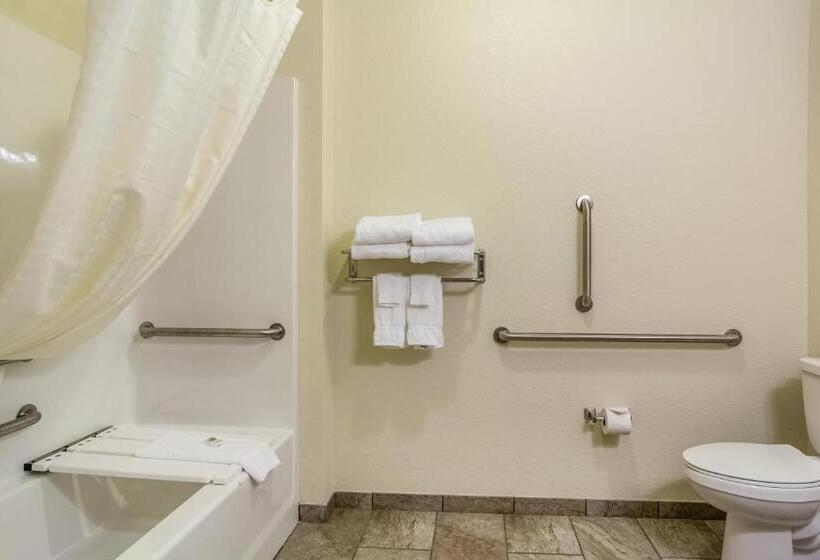 스탠다드 스튜디오, Cobblestone Hotel & Suites   Torrington