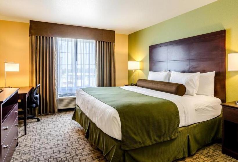 Номер Стандарт Кровать Кинг Адаптированный для Инвалидов, Cobblestone Hotel & Suites   Torrington