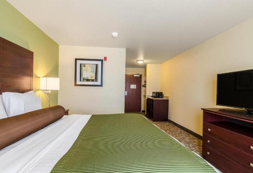 장애인을 위한 킹사이즈 침대 스탠다드 룸, Cobblestone Hotel & Suites   Torrington