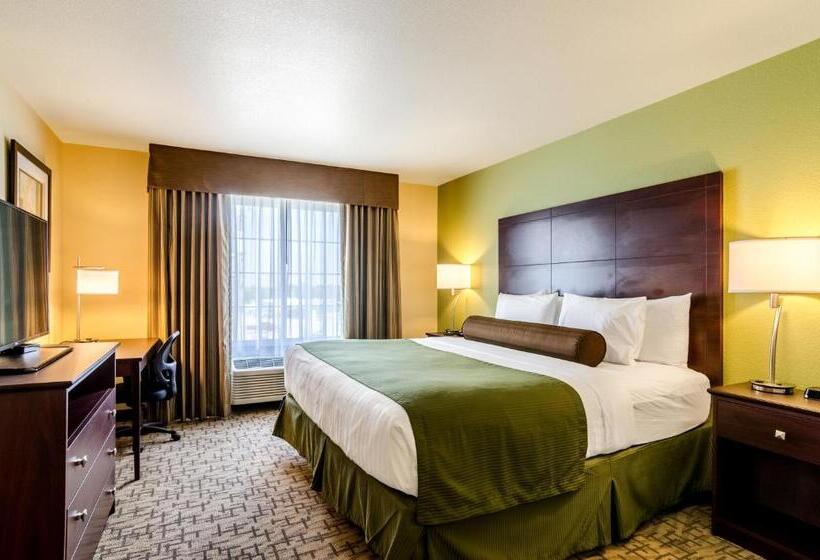 장애인을 위한 킹사이즈 침대 스탠다드 룸, Cobblestone Hotel & Suites   Torrington