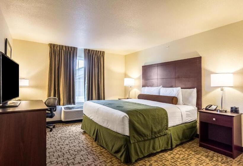 스탠다드 스튜디오, Cobblestone Hotel & Suites   Torrington