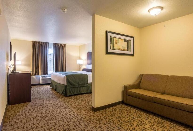 스탠다드 스튜디오, Cobblestone Hotel & Suites   Torrington