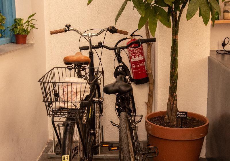 سرير فى غرفة مشتركه, Cantagua Hostel