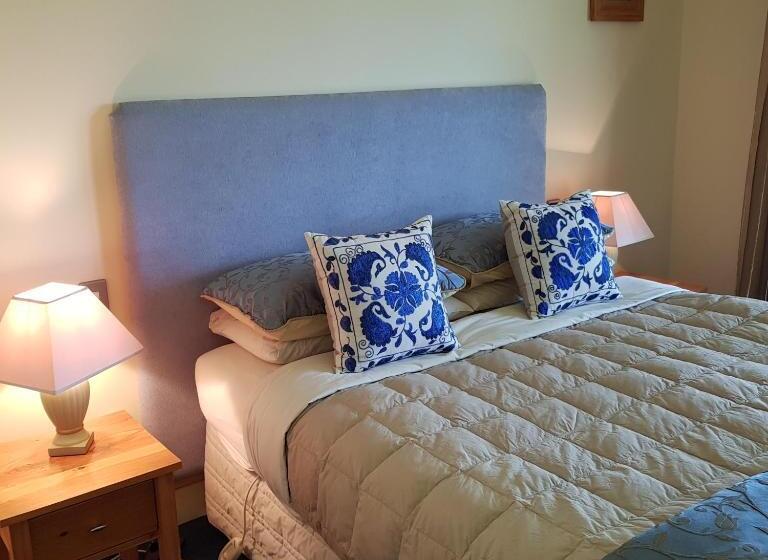 اتاق لوکس با تخت بزرگ, Hawkdun Rise Vineyard & Accommodation