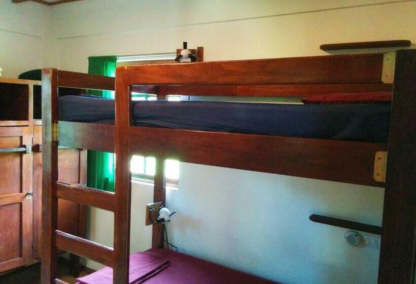 ルームシェアのワンベッド, Pagalù Hostel