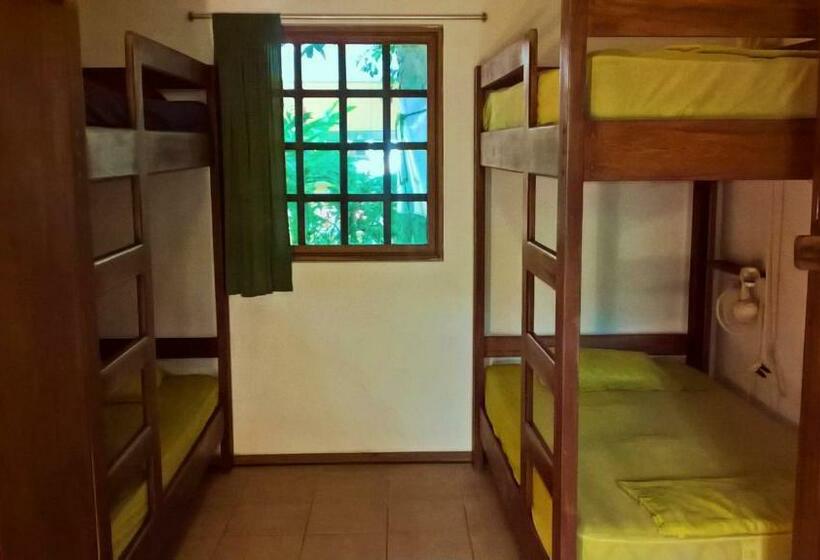 ルームシェアのワンベッド, Pagalù Hostel