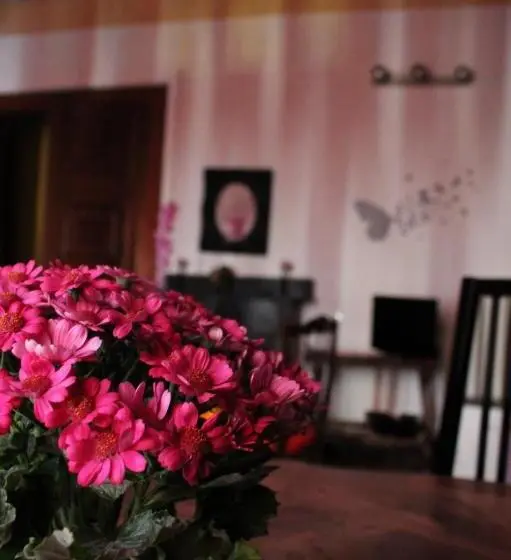 سوییت خانوادگی, B&b Amarantha Gothica Genoa