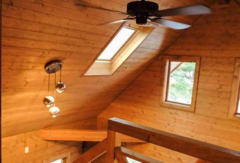 スタンダードトリプルルーム, Pension Kamifuji