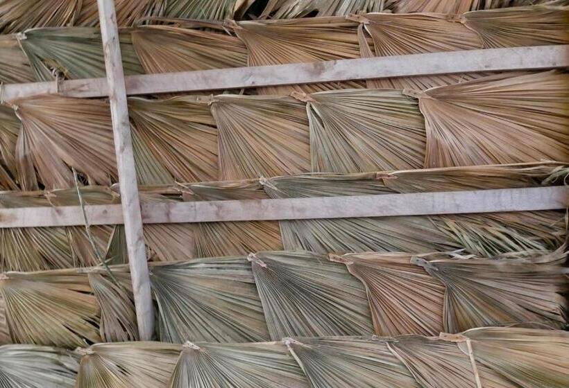 اتاق استاندارد, Pensão Alcinda Bettencourt 100 Meters To The Beachfront