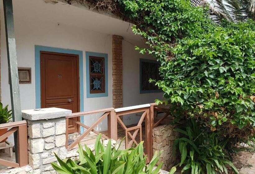 آپارتمان 1 خوابه, Pensão Alcinda Bettencourt 100 Meters To The Beachfront