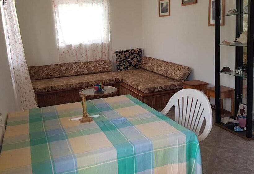 آپارتمان سوپریور 1 خوابه, Pensão Alcinda Bettencourt 100 Meters To The Beachfront