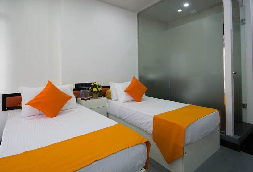 Quarto Estandar, Avora
