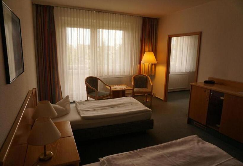 标准单人间, Hanse Hotel Stendal