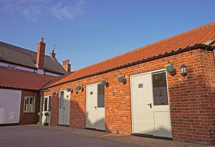 غرفة قياسية, The Olive