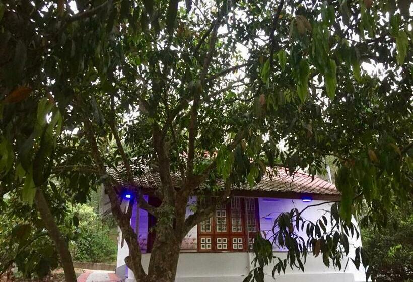 Вилла 1 Спальня, Nutmeg Valley