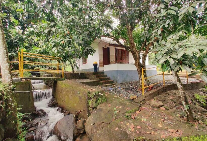 Вилла 1 Спальня, Nutmeg Valley