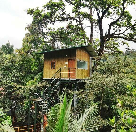 Номер Стандарт Вид на Горы, Nutmeg Valley