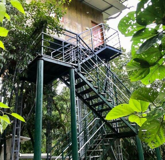 Номер Стандарт Вид на Горы, Nutmeg Valley