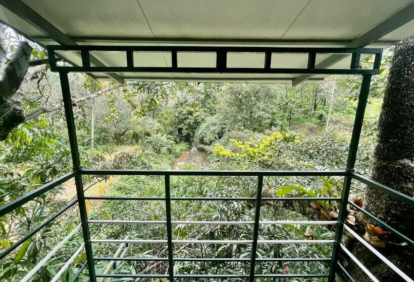 Номер Стандарт Вид на Горы, Nutmeg Valley