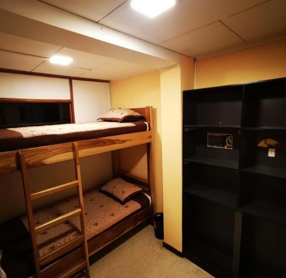 Кровать в Общей Комнате, Toucan Hostel