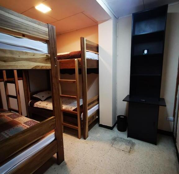 Кровать в Общей Комнате, Toucan Hostel