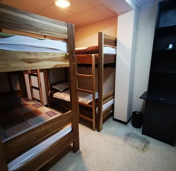 ルームシェアのワンベッド, Toucan Hostel