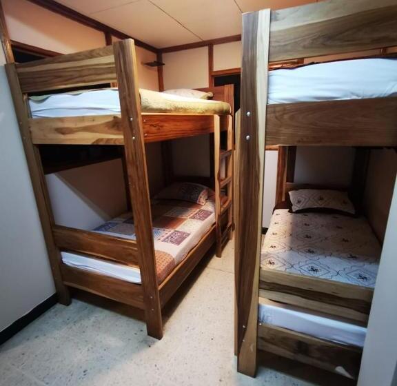 Кровать в Общей Комнате, Toucan Hostel