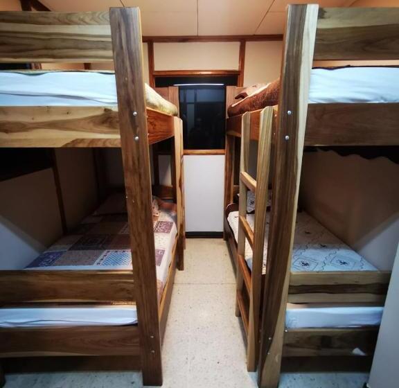 Кровать в Общей Комнате, Toucan Hostel