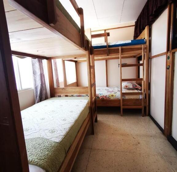 Кровать в Общей Комнате, Toucan Hostel