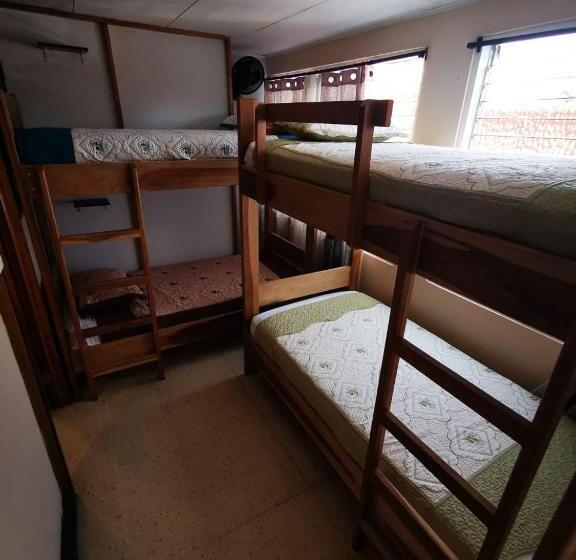 Кровать в Общей Комнате, Toucan Hostel