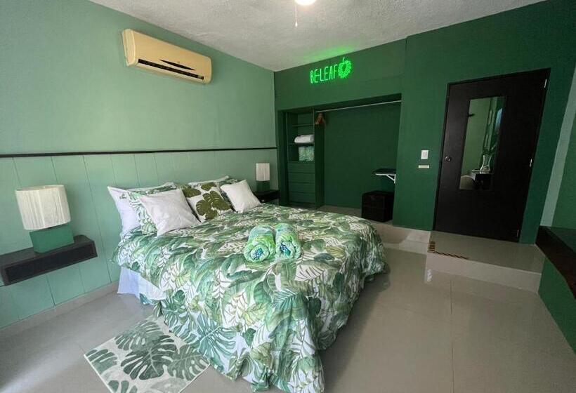 스탠다드 룸 공동 욕실, Dici Co Living Housing Cabo San Lucas